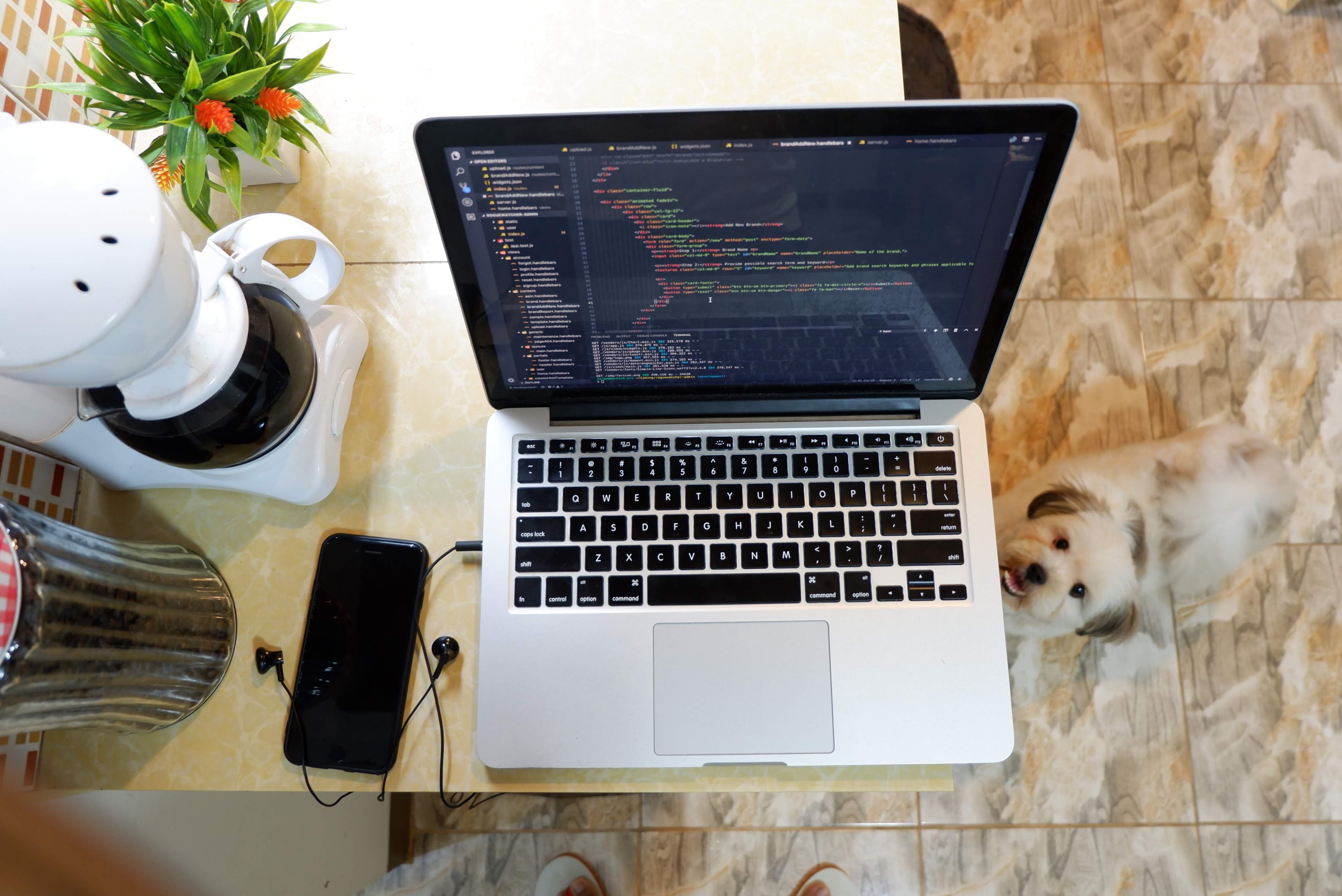 A dog photo from Jorge's personal collection